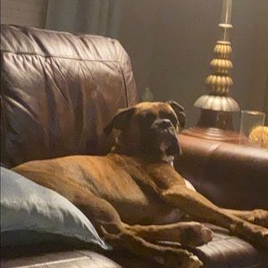 Meet your Posher, Caleb